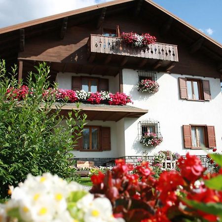 Chalet Stelvio 博尔米奥 外观 照片