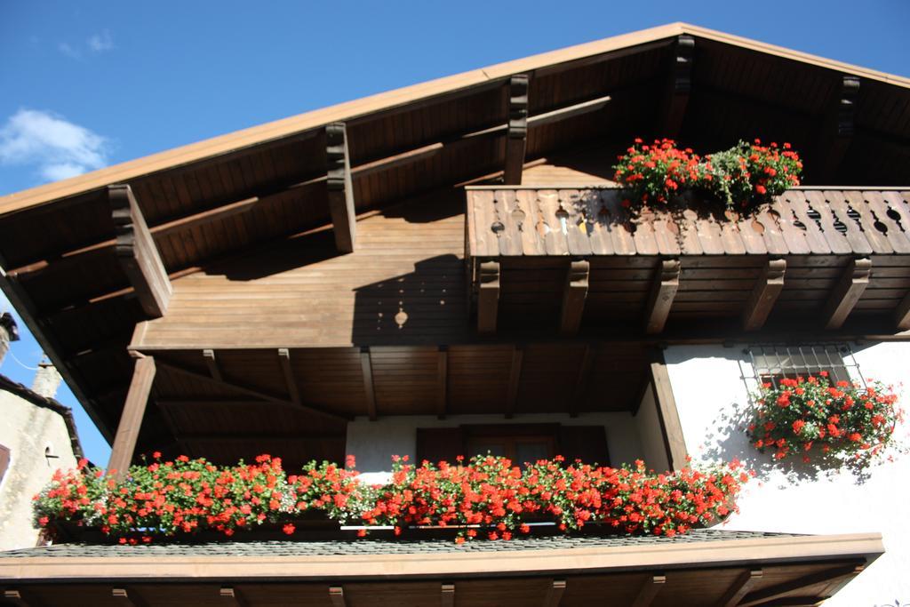 Chalet Stelvio 博尔米奥 外观 照片