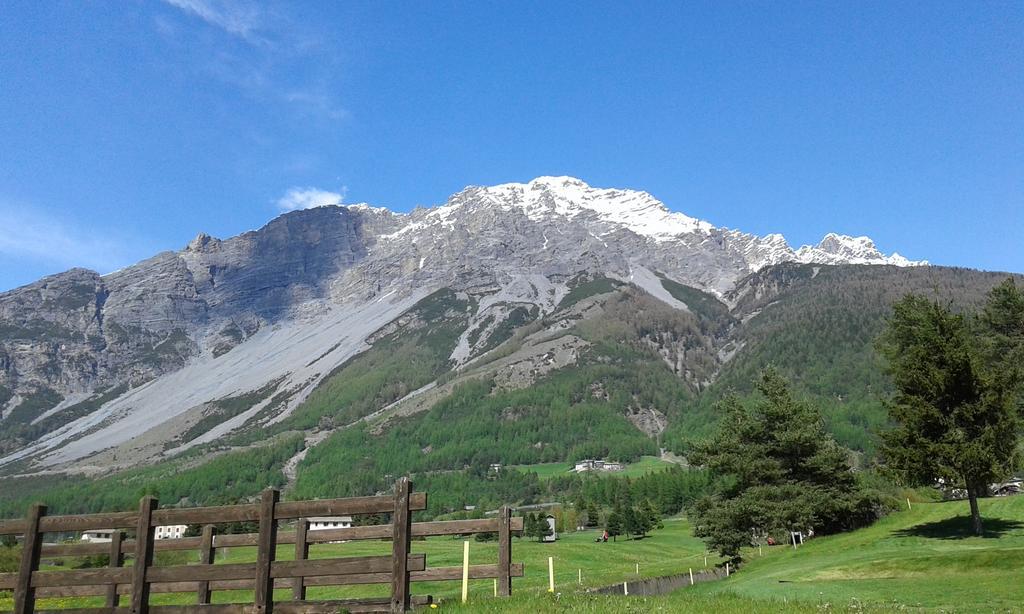 Chalet Stelvio 博尔米奥 外观 照片